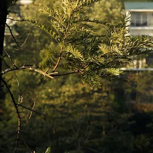 Falcon Crest Индия