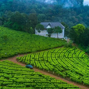 Tea Harvester Индия